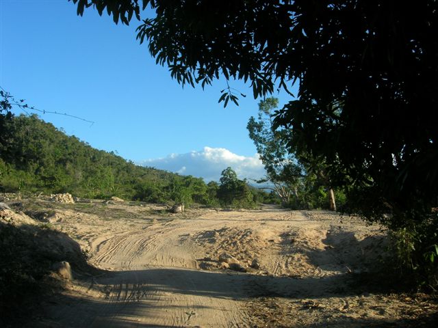 carlo 837.jpg (73471 byte)